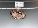 1:6 WWII German Camouflage helmet cover