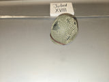 1/6 Scale WWII US Helmet