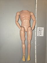 1/6 Scale Nude Figure - Basic Figure