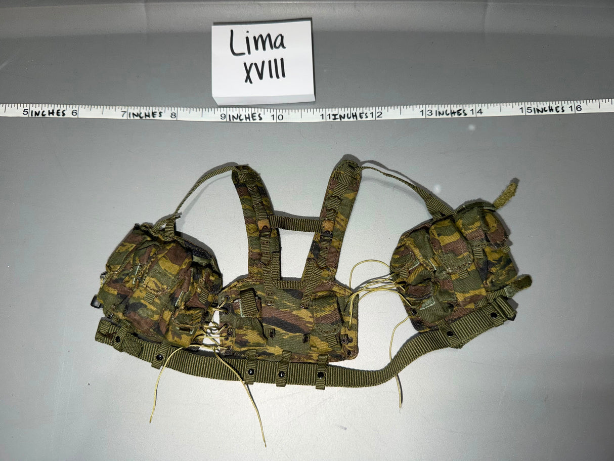 1/6 Scale Modern Russian Web Gear - DAM