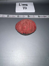 1:6 Scale WWII British Beret - Weathered