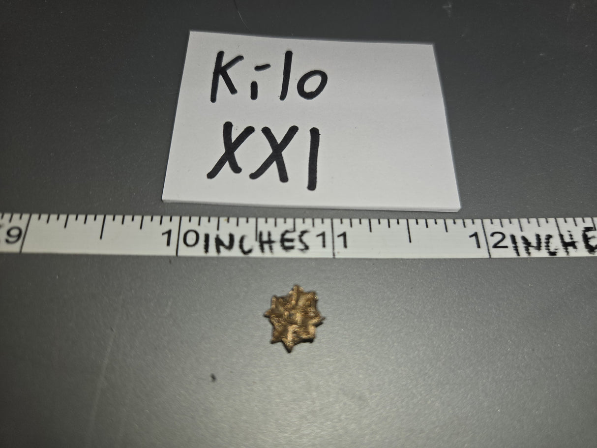 1/6 Scale WWII German Medal - DID