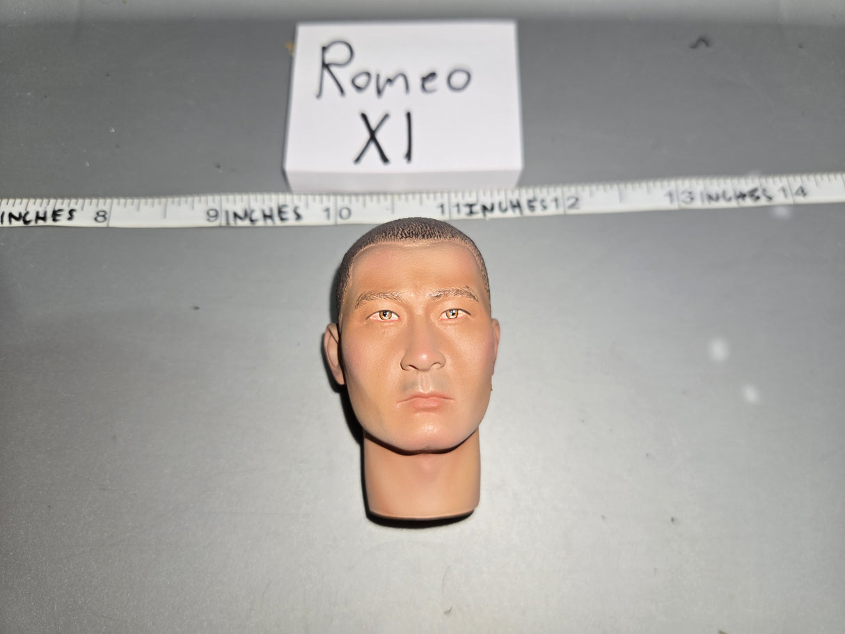1:6 Scale WWII Japanese Asian Head Sculpt - DID