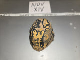 1:6 WWII German Camouflage helmet cover