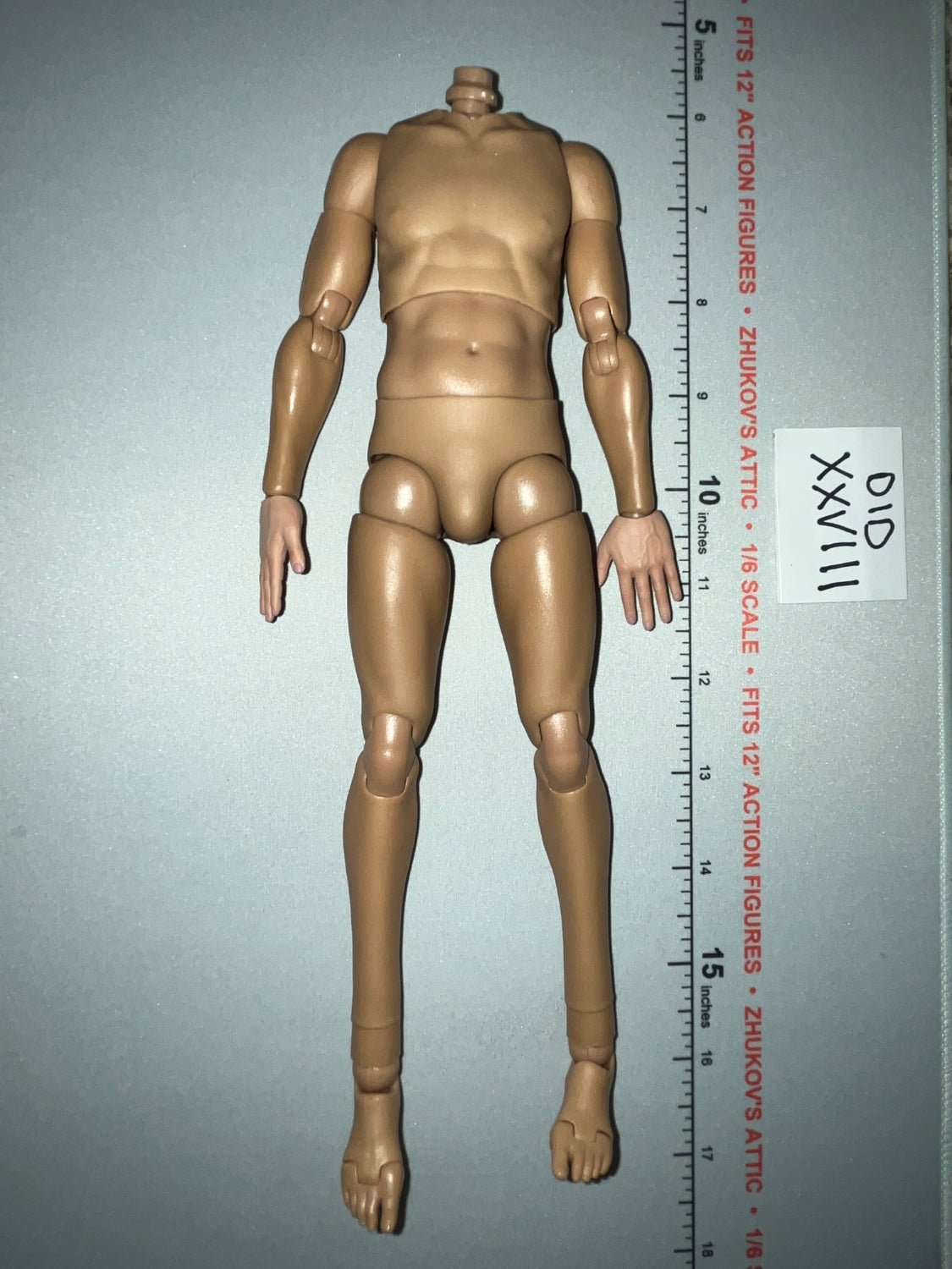 1/6 Scale WWII German Nude Male Figure Body - Wehrmacht Officer – Otto Remer D80194 DID