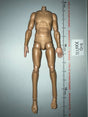 1/6 Scale WWII German Nude Male Figure Body - Wehrmacht Officer – Otto Remer D80194 DID