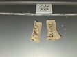 1/6 Scale WWI US Army Canvas Leggings / Gaiters