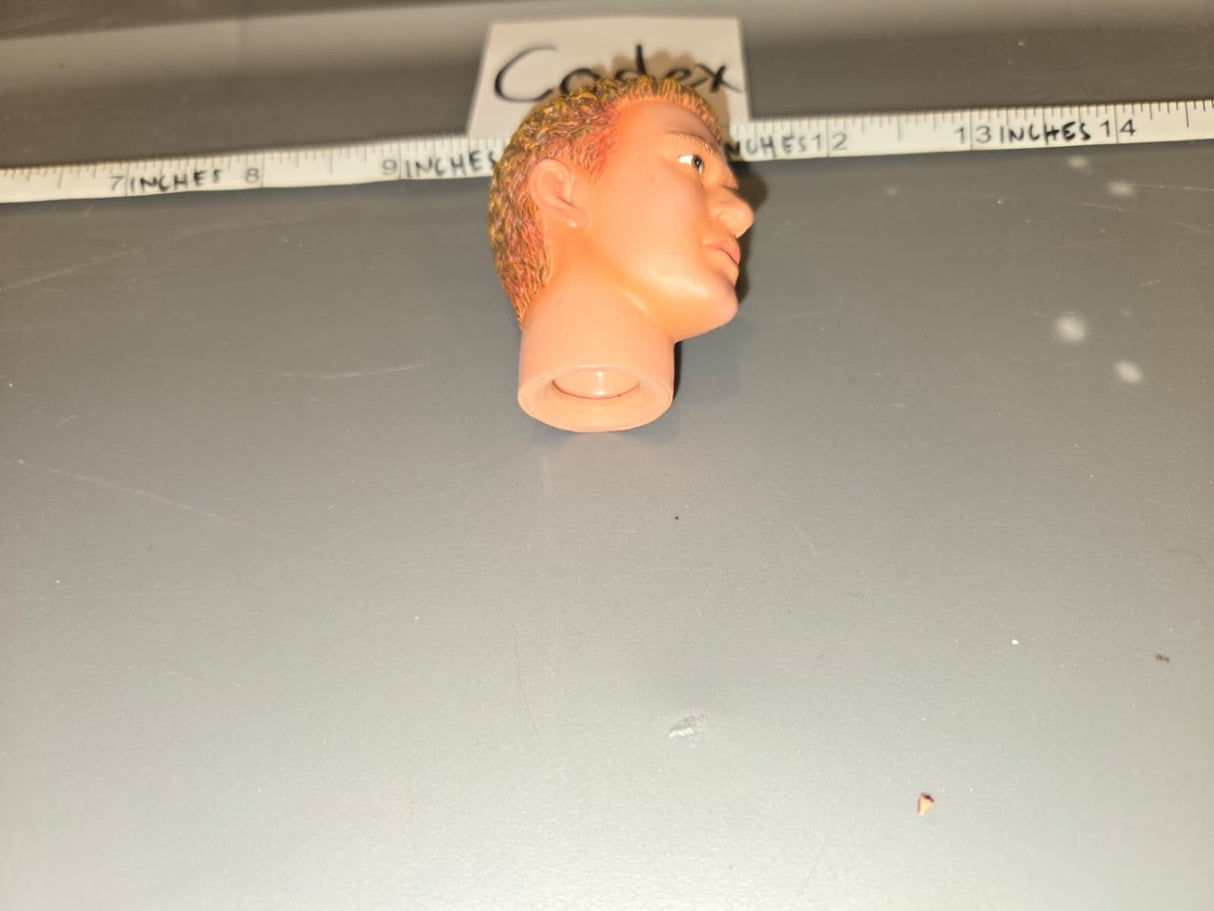 1/6 Scale Male Head Sculpt with Curly Hair - Codex