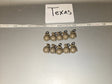 1/6 Scale WWII US Mk 3A2 Offensive Grenade Lot - Texas