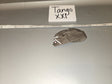 1/6 Scale WWII German Grey Field Cap - Tango XXI