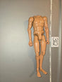 1/6 Scale Nude Male Muscular Figure Body - 312