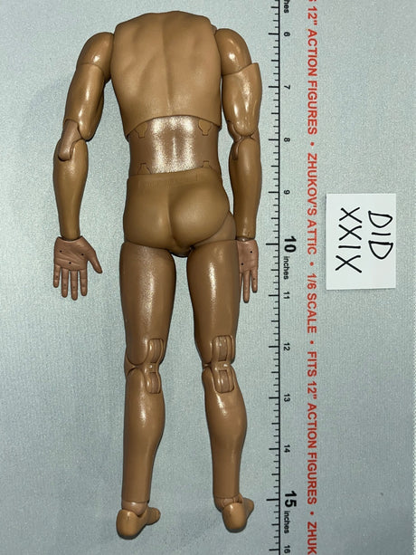 1/6 Scale Nude Male Figure Body - US 2nd Ranger Battalion Medic Wade DID A80189