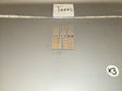1/6 Scale Modern US Military Branch Name Tape and Rank Insignia Sheet - Texas