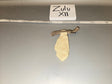 1/6 Scale WWII US Khaki Neck Tie - Zulu XII