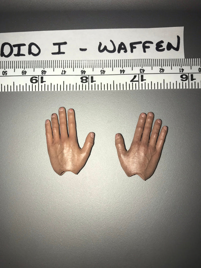 1/6 Scale WWII German Hand Set - DID