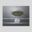 1/6 Scale Vietnam NVA AK Chest Rig