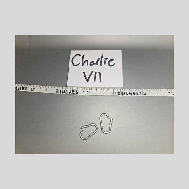 1/6 Scale Modern Era Carabiner Set