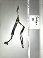 1/6 Scale WWII German Y Harness - Leather