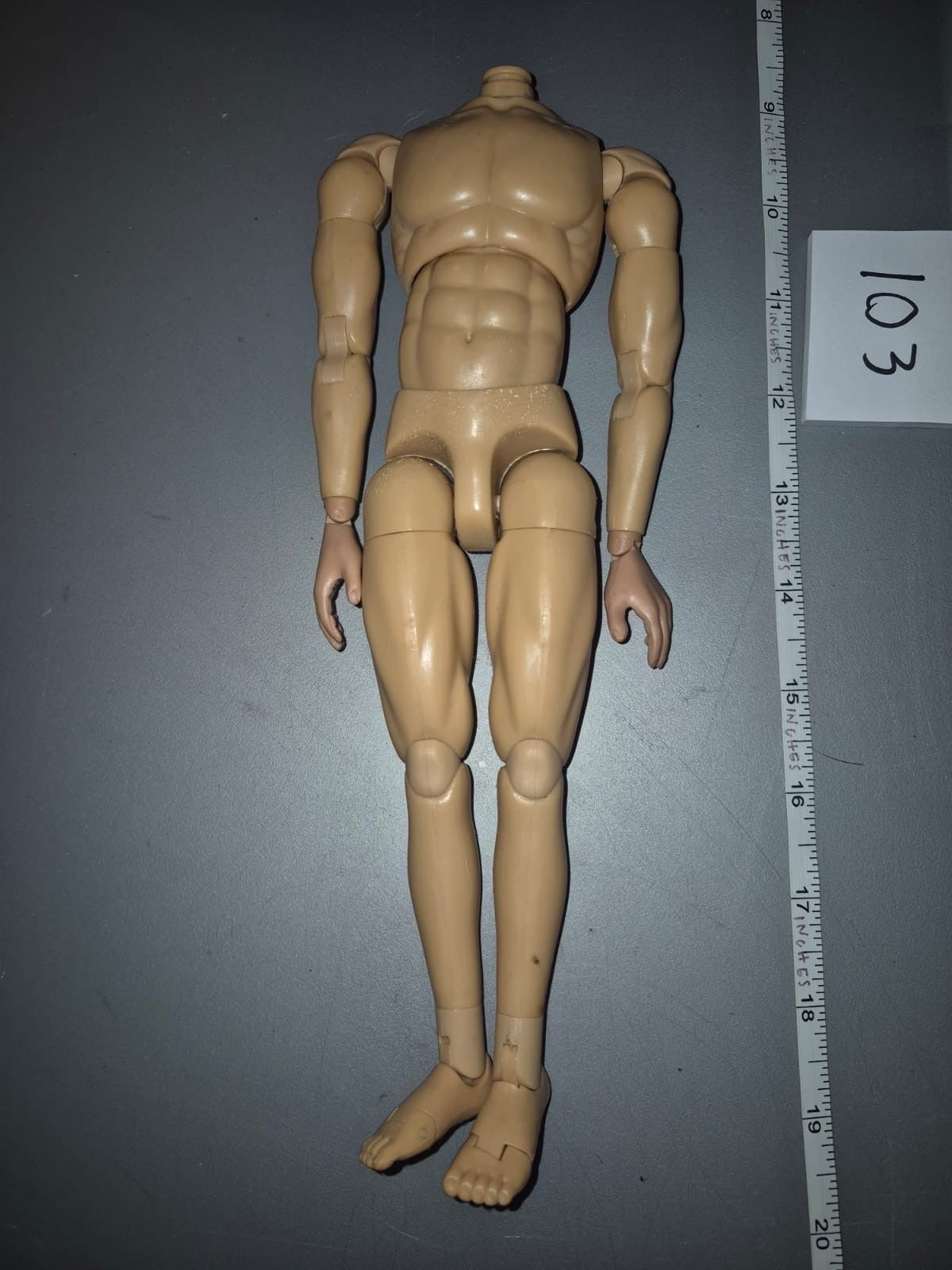1/6 Scale Basic Nude Figure - Dragon