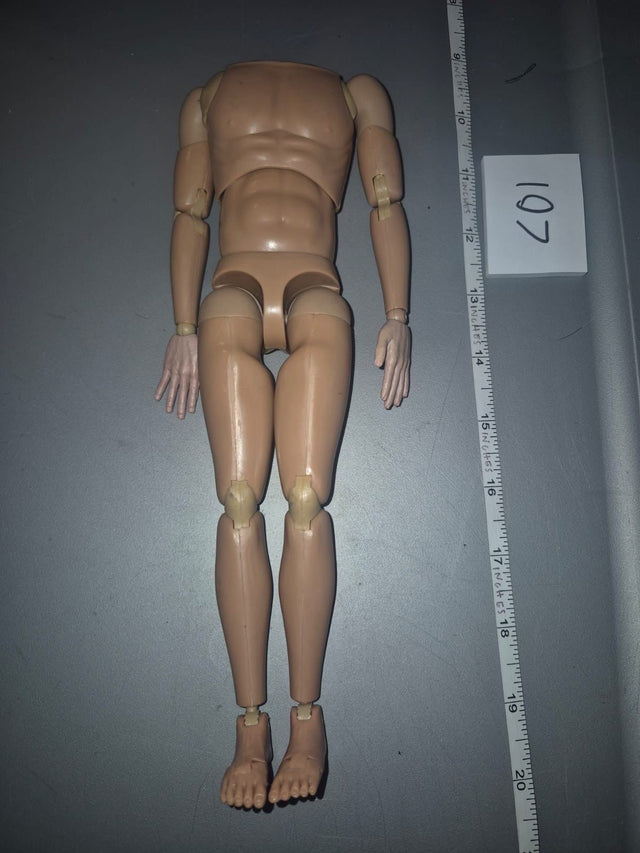 1/6 Scale DID Basic Nude Figure - DID