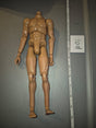 1/6 Scale Basic Nude Figure