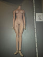 1/6 Scale Nude Phicen Type Female Figure