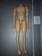 1/6 Scale Basic Nude Figure - Dragon