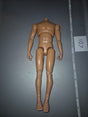 1/6 Scale Basic Nude Figure - Dragon