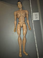 1/6 Scale Nude Male Action Figure Body - Ghostbusters Mattel Ray
