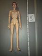 1/6 Scale Nude Female Action Figure Body - Dragon