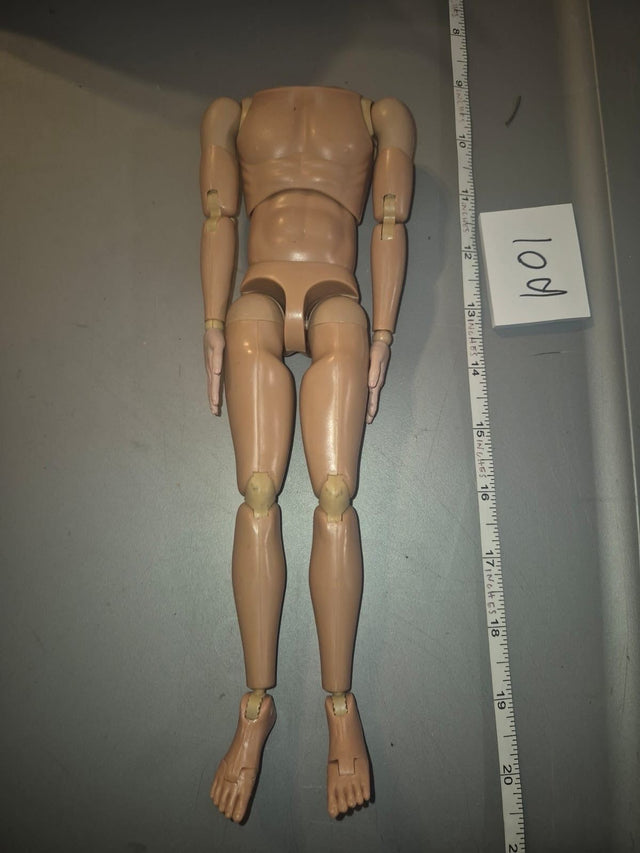 1/6 Scale Nude Male Basic Action Figure Body - DID