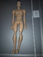 1/6 Scale Nude Mattel Ghostbusters Venkman Male Action Figure Basic Body