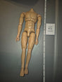 1/6 Scale Nude Male Action Figure Body - Dragon