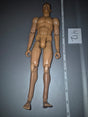 1/6 Scale Nude Male Action Figure Body - Ultimate Soldier