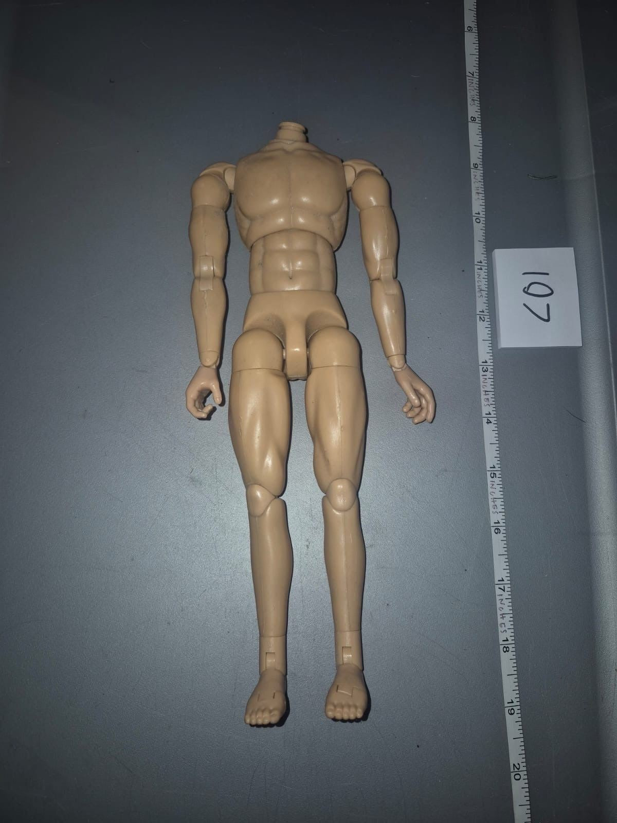 1/6 Scale Nude Male Action Figure Body - Dragon