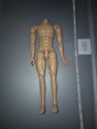 1/6 Scale Nude Male Action Figure Body - Dragon