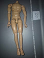 1/6 Scale Nude Male Action Figure Basic Body - Dragon