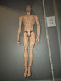 1/6 Scale Nude Male Action Figure Body