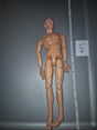 1/6 Scale Nude Male Action Figure Body - DID