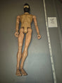 1/6 Scale Nude Male Muscular Action Figure Body - Ultimate Soldier