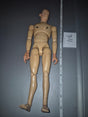 1/6 Scale Nude Male Action Figure Body - Dragon