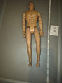 1/6 Scale Nude Male Action Figure Body - - SOTW