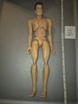 1/6 Scale Nude Male Action Figure Body - Ray Ghostbuster’s