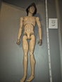 1/6 Scale Nude Medieval Body - - Sideshow