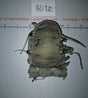 1/6 Scale Modern Era Tactical MOLLE Backpack with Ghillie Net