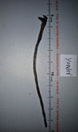 1/6 Scale Fantasy Wizard Wand / Staff