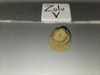 1/6 Scale WWII US Army Knit Jeep Cap Hat