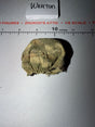 1/6 Scale WWII German Marsh Helmet Cover - Dragon