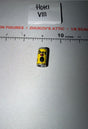 1/6 Scale Vietnam Coors Light Beer Can