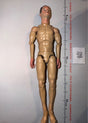 1/6 Scale Nude Male Action Figure Body - ujindou